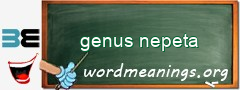 WordMeaning blackboard for genus nepeta